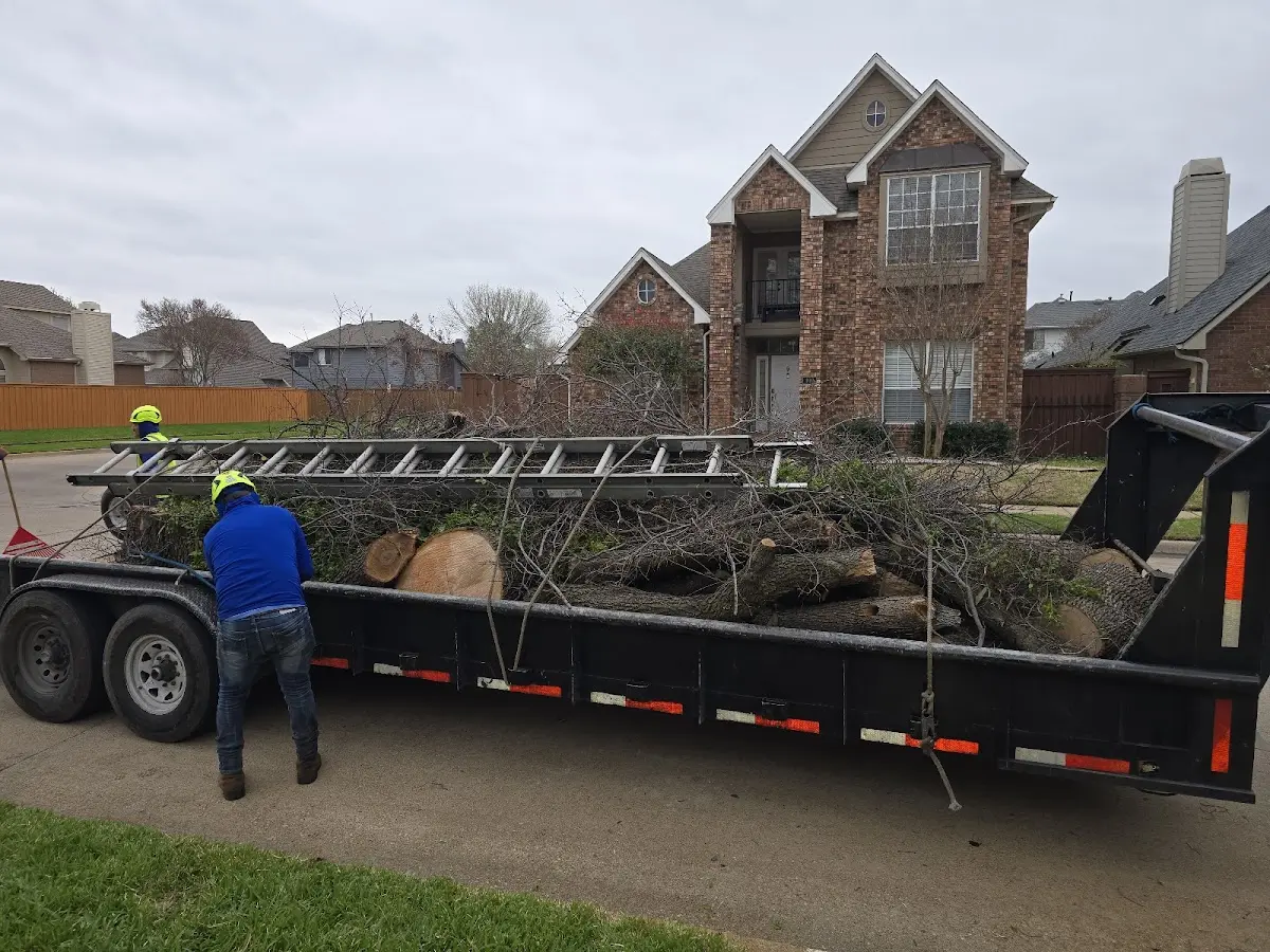 Expert Tree Fertilization with proper safety equipment in Walkersville